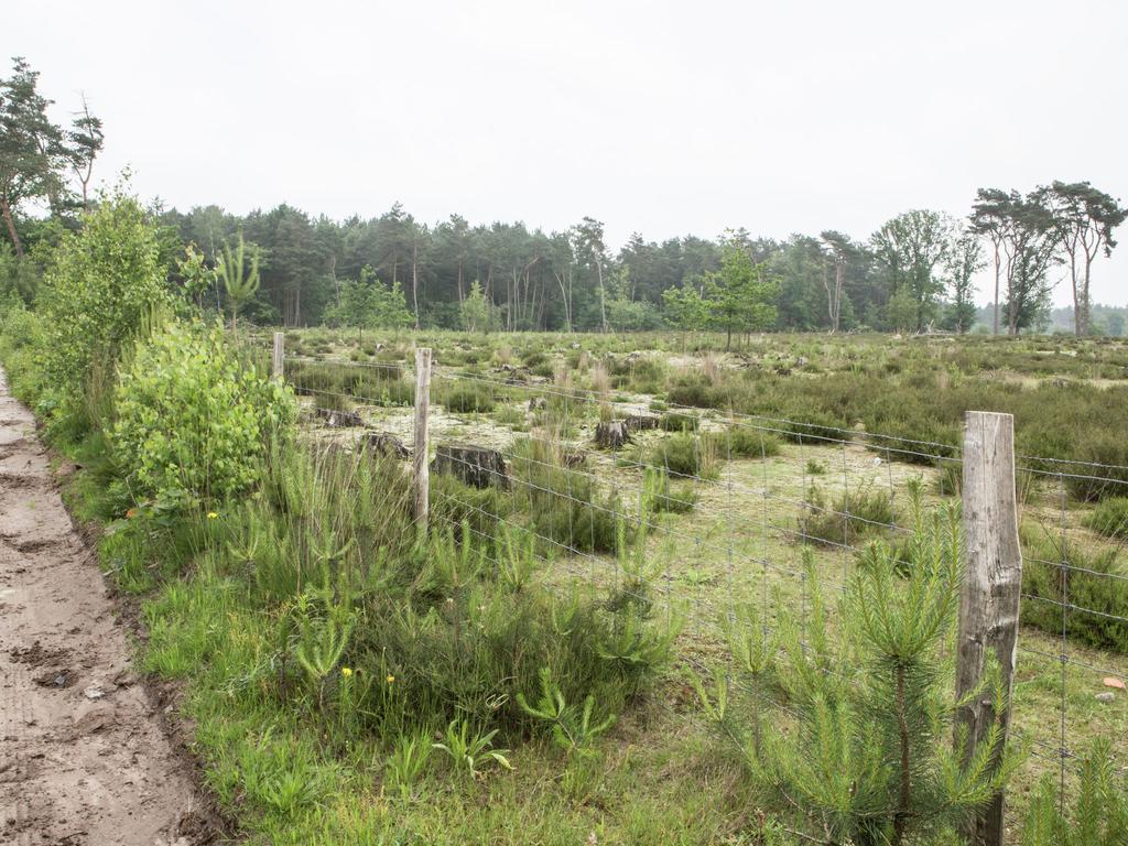 Luxurious Chalet In Oud Turnhout With Large Garden Villa Oud-Turnhout Exterior foto